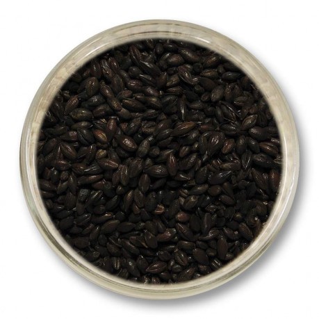 Dark barley malt VIKING PEARLED BLACK MALT